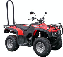 Quad Bike